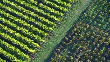 USA Côte Ouest et Far West 2, l'Amérique mythique