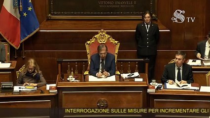 Il Ministro Patuanelli risponde al Senato - Question time (13.02.20)