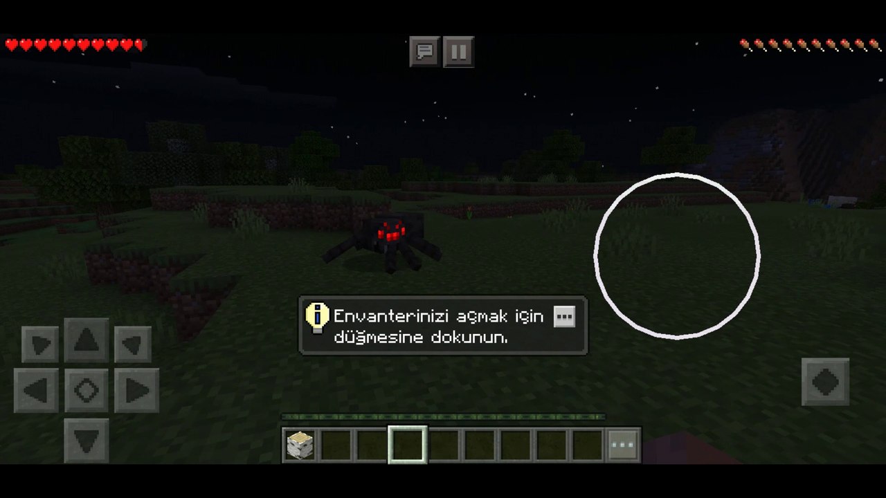 minecraft  is scary2 pwde?