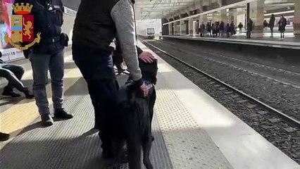 Descargar video: Roma - Lido e Metro B, controlli della polizia