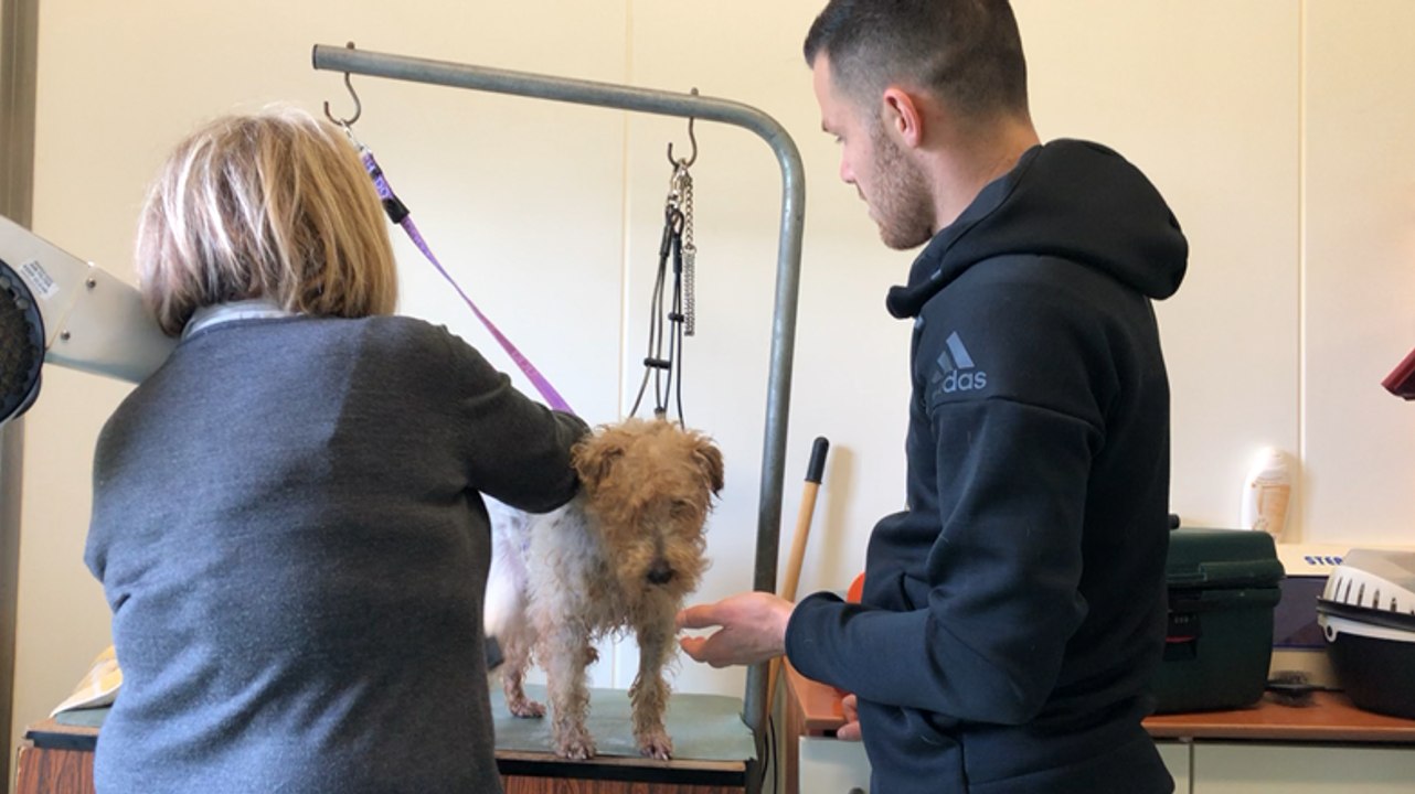 Le joueur du SCO d’Angers Antonin Bobichon chouchoute les chiens de la SPA