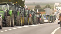Tractorada de protesta en Málaga