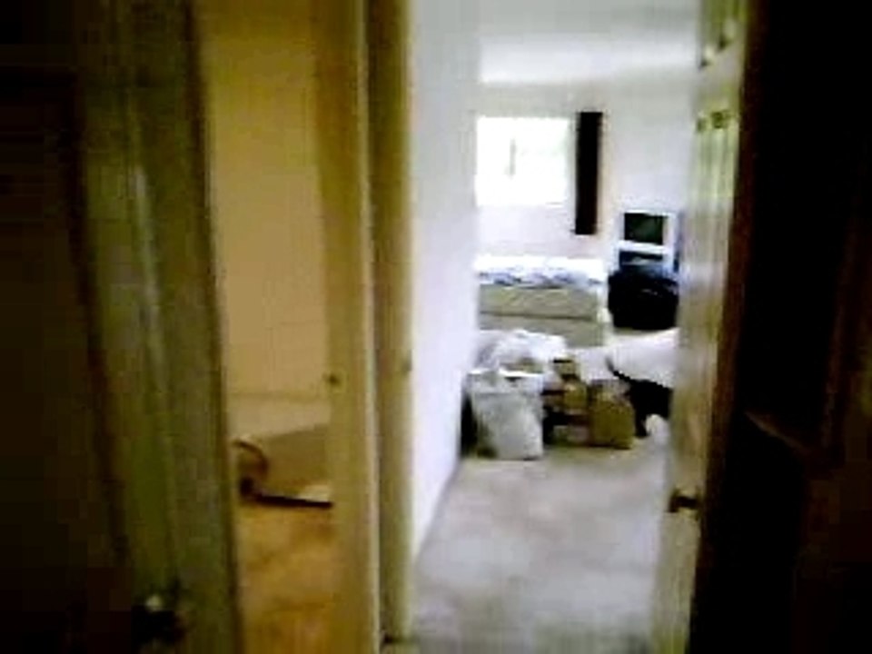 MOV00058