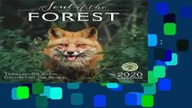 Library  The Soul of the Forest 2020 Calendar: Traveling the Globe, Connecting the World - Amber