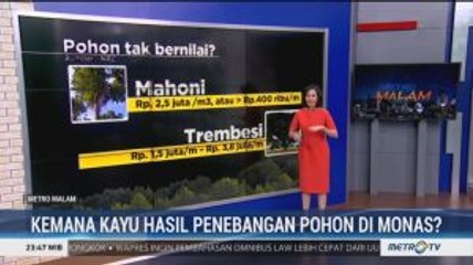 Kemana Kayu Hasil Penebangan Pohon di Monas?