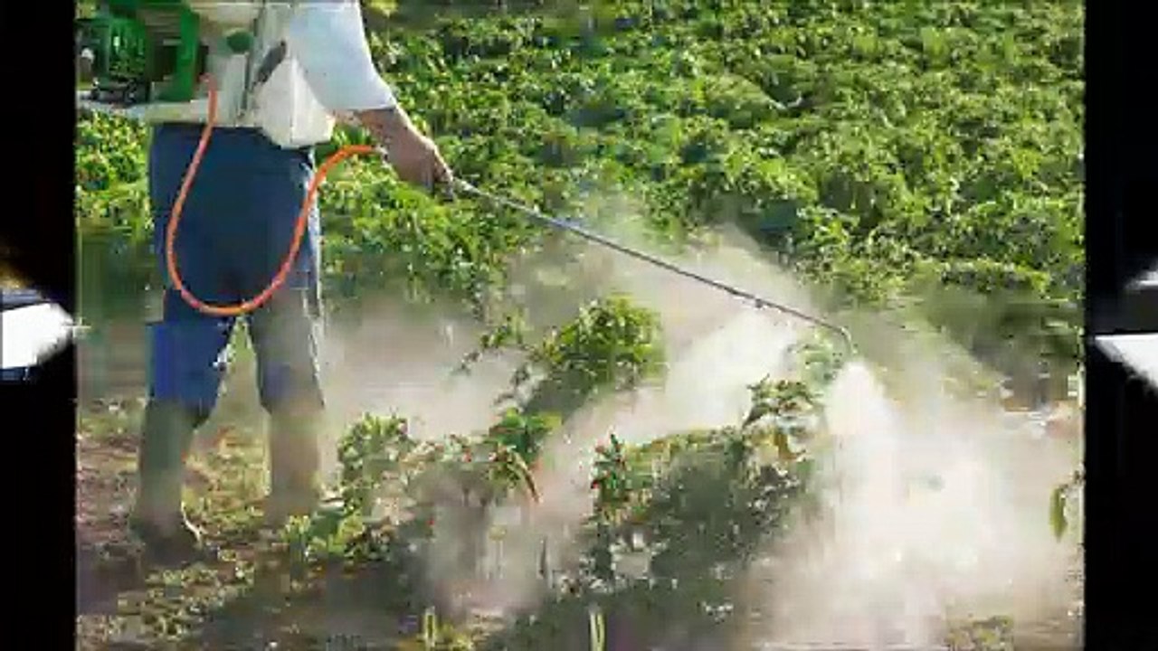 Mills Termite & Pest Control - (803) 252-1467