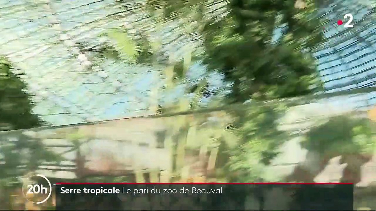 Serre tropicale : le pari du zoo de Beauval
