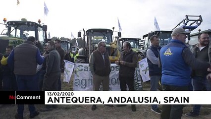 Испания: власти готовы поддержать фермеров