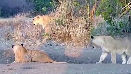 광명출장서비스 광명출장서비스O1OE8261E6657｛카톡KGB8｝ 광명출장마사지샵 광명출장안마on광명출장안마cos여3♪⇔∃마사지황형♥≴≪