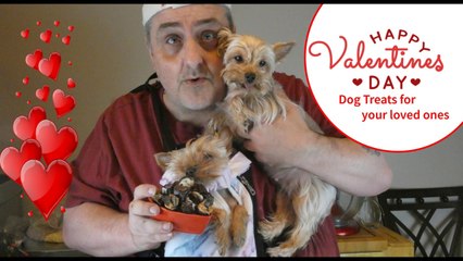 Making Dog Treats for My Sweetie!