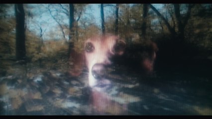 Agnes Obel - Camera´s Rolling