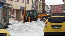 Karlıova'da kar kamyonlarla ilçe dışına taşınıyor - BİNGÖL