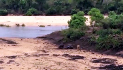 목포출장서비스 목포출장서비스O1Og4838g4959｛카톡NET47｝ 목포출장마사지샵 목포출장안마on목포출장안마cos여3♪⇔∃마사지황형♥◚≪