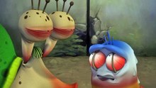 LARVA SEASON1, STARING CONTEST, CRAZY CARTOONS, PLEASANT EPISODE