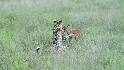 만안출장서비스 만안출장서비스O1Og2118g2518｛카톡KFC49｝ 만안출장마사지샵 만안출장안마on만안출장안마cos여3♪⇔∃마사지황형♥∋≪