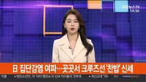 日 집단감염 여파…곳곳서 크루즈선 '찬밥' 신세