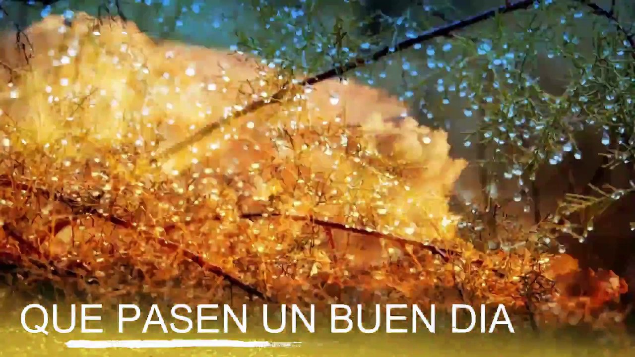 Conoce El Tiempo de Hoy Viernes 14 de Febrero de 2020