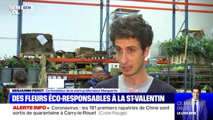 Des fleurs éco-responsables pour la Saint-Valentin - 14/02