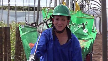 Más de 400 kilos de cocaína viajando entre flores