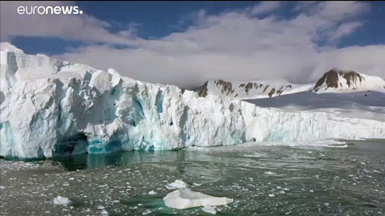 Hitzerekord in der Antarktis: Thermometer steigt auf 20,5 Grad Celsius