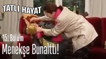 Menekşe sorularıyla İhsan'ı darladı - Tatlı Hayat 15. Bölüm