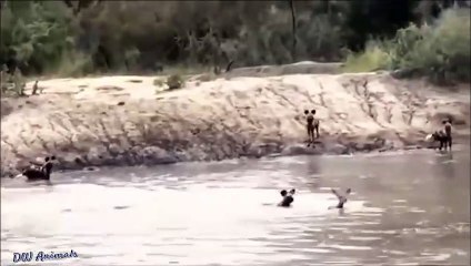 담양출장서비스 담양출장서비스O1OE2104E4640｛카톡MBM6｝ 담양출장마사지샵 담양출장안마on담양출장안마cos여3♪⇔∃마사지황형♥◉≪