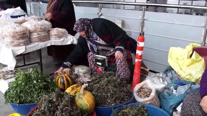 Dağlardan topladığı otları pazarda satarak geçimini sağlıyor