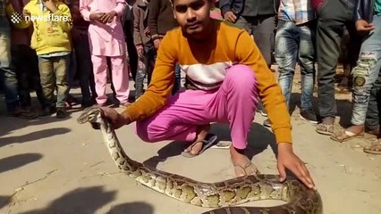 Locals take snake selfies with 10-foot-long python lying on road in northern India
