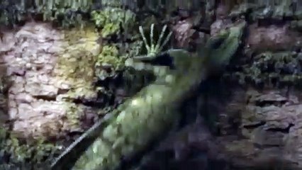 강화출장서비스 강화출장서비스O1OE8261E6657｛카톡RMB7｝ 강화출장마사지샵 강화출장안마on강화출장안마cos여3♪⇔∃마사지황형♥≴≪