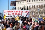 Economía Para Todos: El sector del campo se rebela contra Sánchez