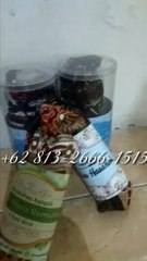 TERBARU!!! +62 813-2666-1515 | Souvenir Untuk Acara Aqiqah Yogyakarta