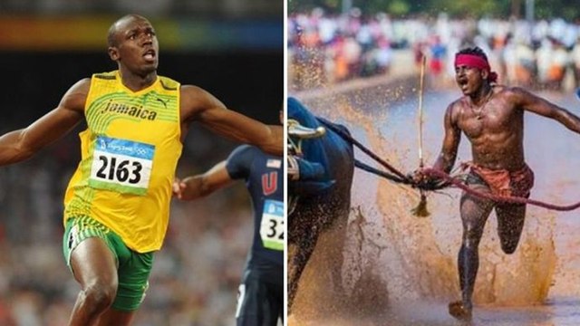 India's Usain Bolt? Karnataka Man Compared With Bolt After Kambala Race