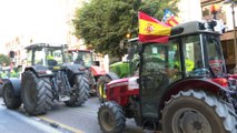 Tractorada en València por situación 