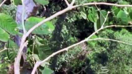 횡성출장서비스 횡성출장서비스O1Og2154g6609｛카톡MBN74｝ 횡성출장마사지샵 횡성출장안마on횡성출장안마cos여3♪⇔∃마사지황형♥⊃≪