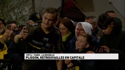 Top 14 - Plisson de retour au bercail