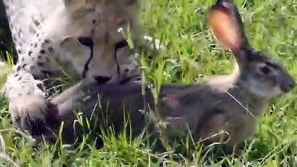 부산출장서비스 부산출장서비스O1OE2908E6803｛카톡ABC23｝ 부산출장마사지샵 부산출장안마on부산출장안마cos여3♪⇔∃마사지황형♥∥≪