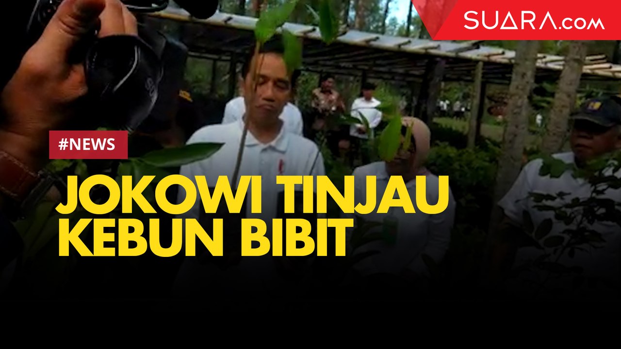 Momen Jokowi Tinjau Kebun Bibit di Gunung Merapi