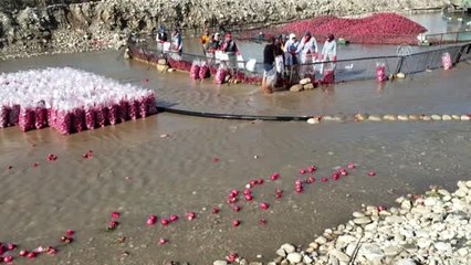 Başkan Tarhan Sevgililer Günü'nü turp işçileriyle kutladı