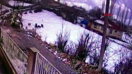 Ölü bulunan çobanın gasp edildiğini gösteren görüntüler ortaya çıktı