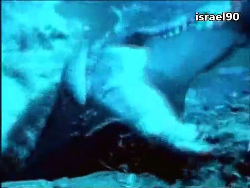 פירסומת לסידרה צבי הנינג'ה(מתוך שידורי ערוץ הילדים של שנת 1997)