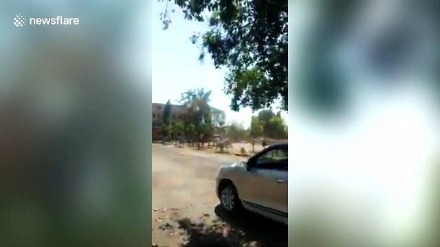 Dust devil interrupts college sports event in south India