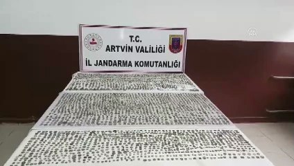 Portakalların arasına gizlenmiş 4 bin 45 sikke ele geçirildi - ARTVİN