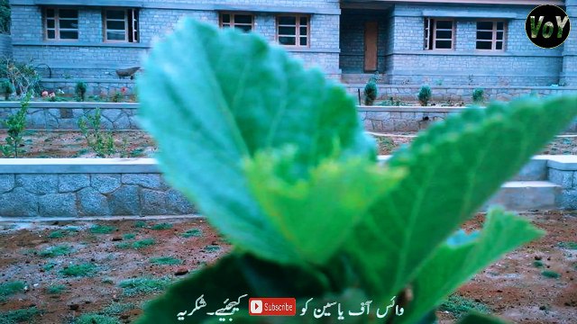 Singal Valley | Punial Ghizer | Gilgit Baltistan Explore