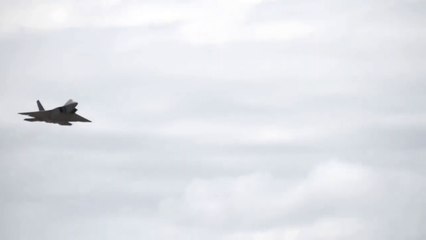 Military Weapons the Reason Why the US Never Exported the Sthealthy F-22 Raptor