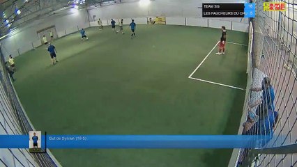 But de Sylvain (18-5) - TEAM SG Vs LES FAUCHEURS DU CHU - 13/02/20 20:00 - LIGUE 3