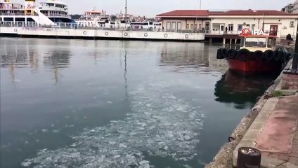 Çanakkale Boğazı'nda ortaya çıkan gizemli tabaka incelenecek