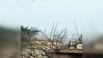İdlib bölgesinde Esed rejimine ait bir helikopter daha düşürüldü