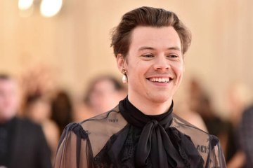 Harry Styles Wanted to Become a Physiotherapist