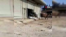 - Esad rejimi Halep'in Maart El Atarib köyünü vurdu: 3 ölü, 3 yaralı