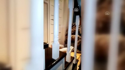 İstanbul merkezli organize suç örgütü operasyonu - İSTANBUL